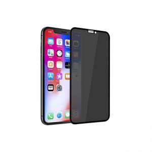 iPhone-X-Remax-Emperor-Series-9D-Privacy-Tempered-Glass-Screen-Protector