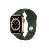 Apple-Watch-Series-6-44MM-Gold-Stainless-Steel-GPS-+-Cellular---Cyprus-Green-Sport-Band